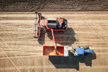 Aufkleber - Colourful combine harvester working a wheat field with a tractor and trailer moving alongside.