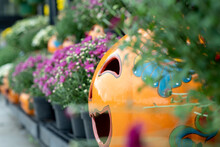 Orange Porcelain Halloween Jack-o-lantern With Purple Mums (Chrysanthemum Morifolium) For Sale And Landscape Nursery