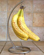© sheilaf2002 - Over ripe bunch of bananas hanging from kitchen stand on brown tile counter with tile background.