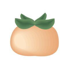 Sticker - orange fruit icon