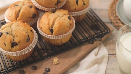 Sticker - Chocolate chip muffins with milk served on glass cups on white kitchen countertop.