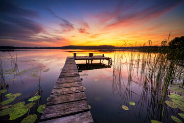 Wall Mural - Beautiful summer sunrise over lake