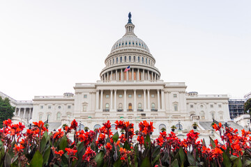 Wall Mural - us capitol building