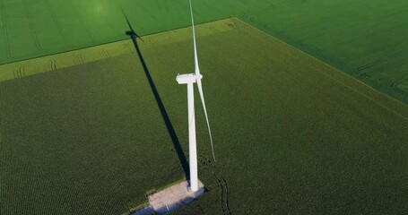 Wall Mural - Aerial overhead view of Wind Turbine on green corn field. Renewable energy sources