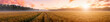 Panorama of a sunrise in an agricultural field with fog and golden rye covered with dew on an early summer morning.