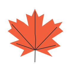 Wall Mural - Vector isolated illustration with flat botanical element. Orange symbol of autumn in Canada - maple leaf. Decorative fall object on white background