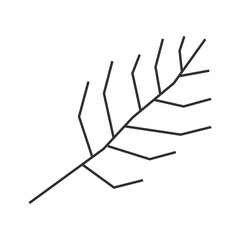 Wall Mural - Vector isolated fall illustration with botanical element - black branch without leaf. Geometic symbol of autumn time. Decorative minimalistic object - dry stick on white background