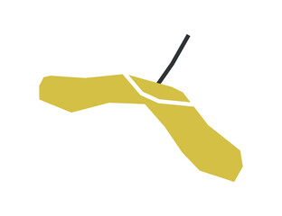 vector isolated illustration with flat botanical element. yellow symbol of autumn - samara, part of 
