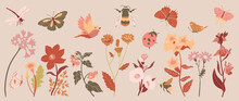 Set Of Fall Botanical Vector Element. Collection Of Bird, Butterfly, Dragonfly, Honey Bee, Flower, Wildflowers, Leaf, Ladybug. Autumn Garden Illustration Design For Logo, Wedding, Invitation, Decor.