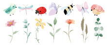 Set Of Botanical Vector Element. Collection Of Bird, Butterfly, Dragonfly, Honey Bee, Flower, Wildflowers, Leaf, Ladybug. Watercolor Garden Illustration Design For Logo, Wedding, Invitation, Decor.