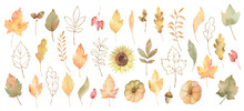 Watercolor Vector Set Of Autumn Sunflower Flower, Pumpkins, Leaves And Branches.