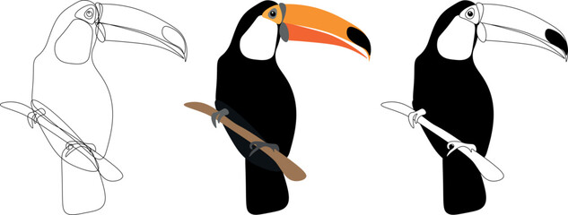 Exotic Toco Toucan tucano bird vector illustration. Simple clipart design of jungle bird with a big beak.	