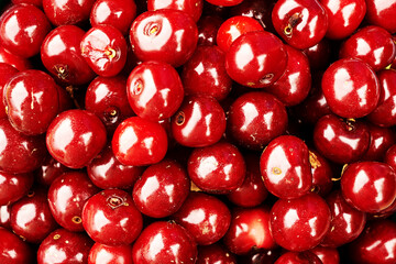 Wall Mural - harvest of freshly harvested juicy ripe cherries close-up background backdrop