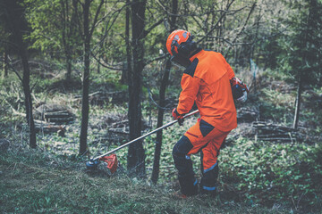 Wall Mural - Man holding a brushcutter cut grass and brush. Lumberjack at work wears orange personal protective equipment. Gardener working outdoor in the forest. Security, occupation, forestry, worker, concept