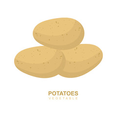 Potatoes vegetable vector illustration. Isolated white background. Sweet potato, Young Potatoes isolated, Raw potato food, Fresh potato