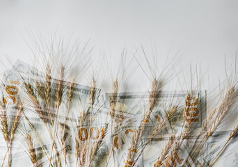 Naklejka na meble Ears on the background of dollar bills. Multiple exposure, selective focus. The concept of the global economic crisis.