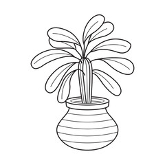 Wall Mural - Vector outline house plant in pot. Indoor home plant with leaves. Cacti for home and interior. Botanical doodle linear black and white illustration isolated on white background.