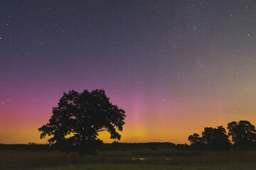 Wall Mural - Starry sky with light Aurora borealis lights