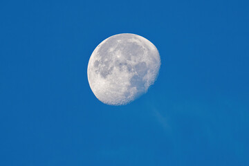 Wall Mural - waning moon on day on a blue clear sky