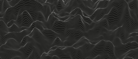 Poster - Abstract background with distorted line shapes on a black background. Monochrome sound line waves.