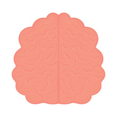 Wall Mural - human brain icon