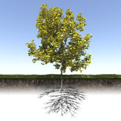 tree with strong and deep roots, 3d render