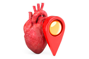 Poster - Human heart with map pointer. 3D rendering