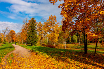 Wall Mural - Babolovsky park in autumn, Pushkin (Tsarskoe Selo), Saint Petersburg, Russia