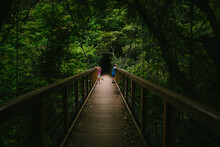 Brother And Sister On A Bridge On Hike In Tropical Forest