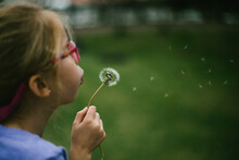 Girl Blond Child Blows A Dandelion Over Green Grass