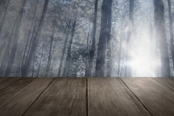 Canvas Print - The wooden floor in a haunted forest with fog