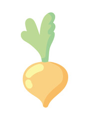 Wall Mural - onion vegetable icon