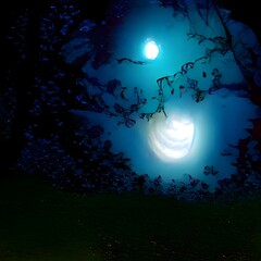 Wall Mural - full moon on a mystical forest lake at night