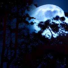 Wall Mural - full moon on a mystical forest lake at night