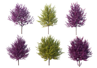 Multicolored leafy tree on transparent background