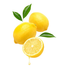 Wall Mural - fresh lemon juice dripping with lemon fruits levitate isolated on white background.