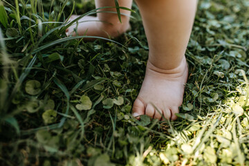 Wall Mural - closeup of barefoot baby feet standing on green grass