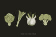 Vegetables fennel, leek, broccoli, artichoke. Vector drawing, illustration, sketch. Natural spicy herb. Vintage graphic drawing.