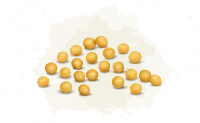 Wall Mural - Yellow Mustard Seeds vector illustration 