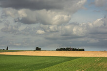 Rolling Countryside With Farmland, An Old Windmill And Trees Under A Cloudy Sky.