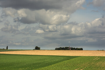 Wall Mural - Rolling countryside with farmland, an old windmill and trees under a cloudy sky.