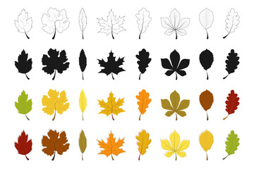 Wall Mural - autumn leaf collection. autumn leaves vector icons. autumn leaf. leaves. vector illustration