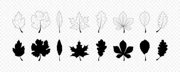 Wall Mural - autumn leaf collection. autumn leaves vector icons. autumn leaf. leaves. vector illustration
