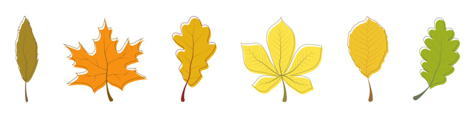 Wall Mural - autumn leaf collection. autumn leaves vector icons. autumn leaf. leaves. vector illustration