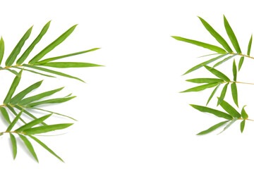 Wall Mural - Bamboo leaves on white background