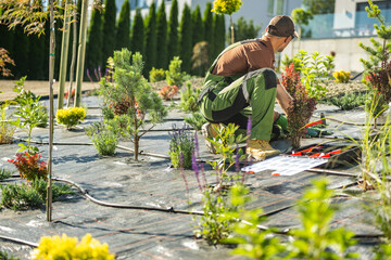 Backyard Garden Drip Irrigation System Installed by Gardener