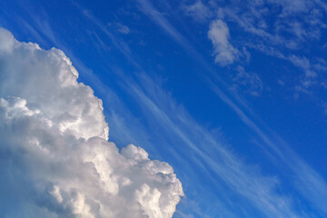 Poster - White clouds in the blue sky. A symbol of the purity of the world and whiteness.