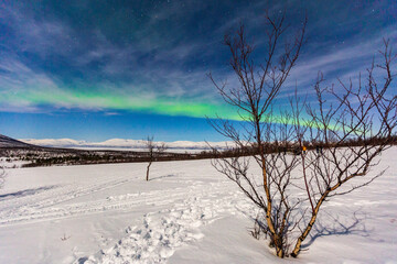 Aurora boreale in Lapponia ad Abisko.Luci nel cielo nella fredda notte polare