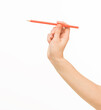 © serhii - female hands holding orange pencil on white background isolated