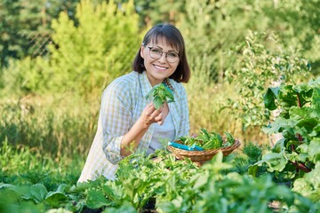 Smiling woman with harvest of basil leaves in summer garden.